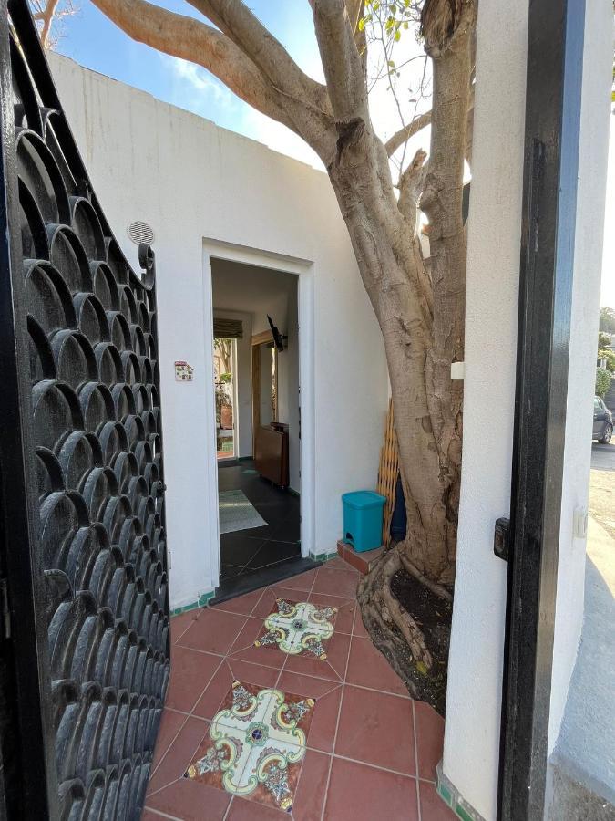 Apartment Smeraldino Lacco Ameno (Isola d'Ischia)